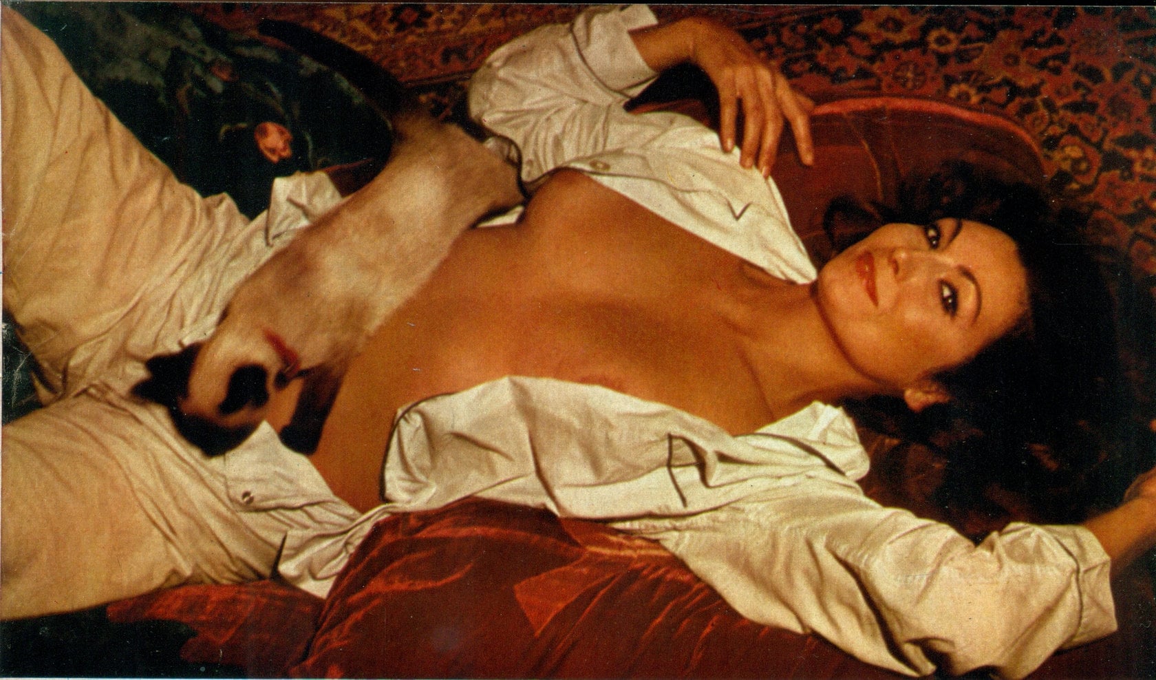 Rosanna Schiaffino nude 7
