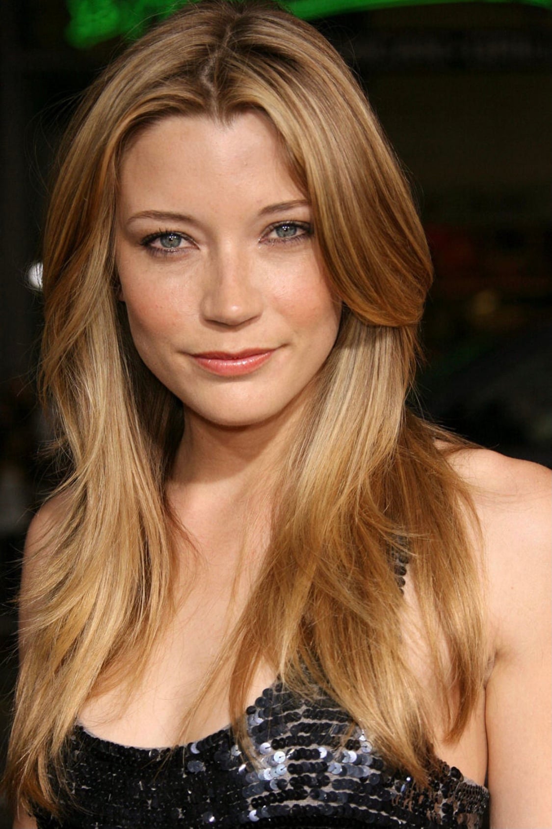 Sarah Roemer nude 12