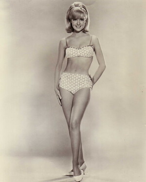 Shelley Fabares nude 1