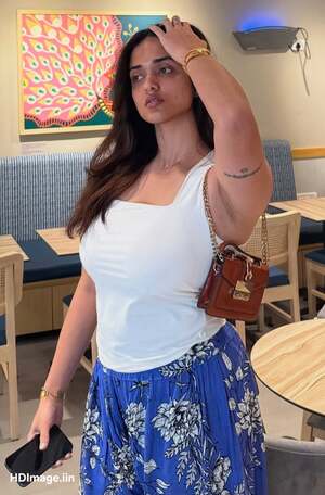 Shreya Vishakant nude 2