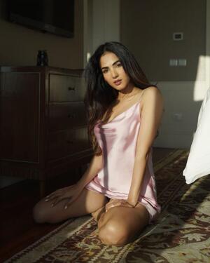 Sonal Chauhan nude 5