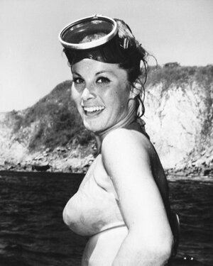 Stefanie Powers nude 8