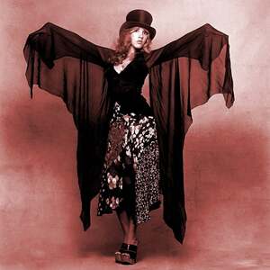 Stevie Nicks nude 2