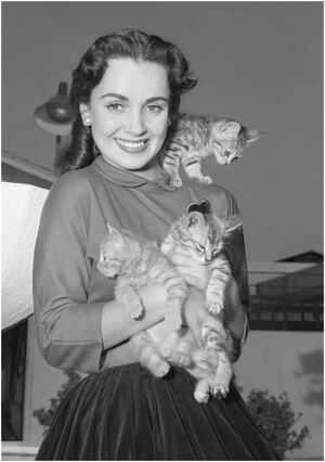 Susan Cabot nude 9