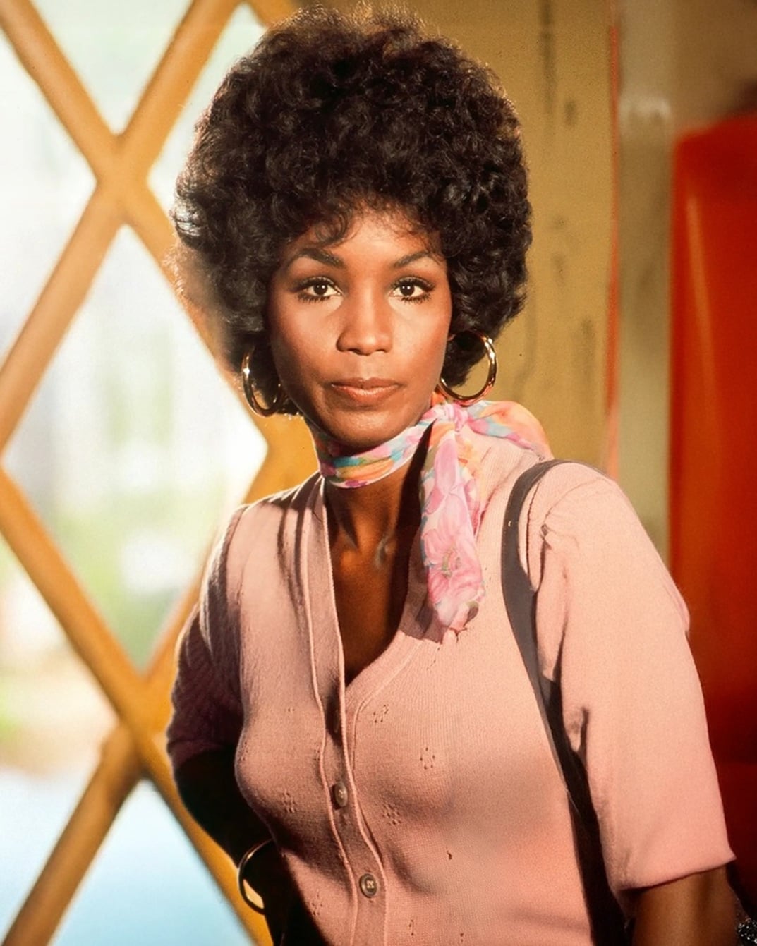Teresa Graves nude 7