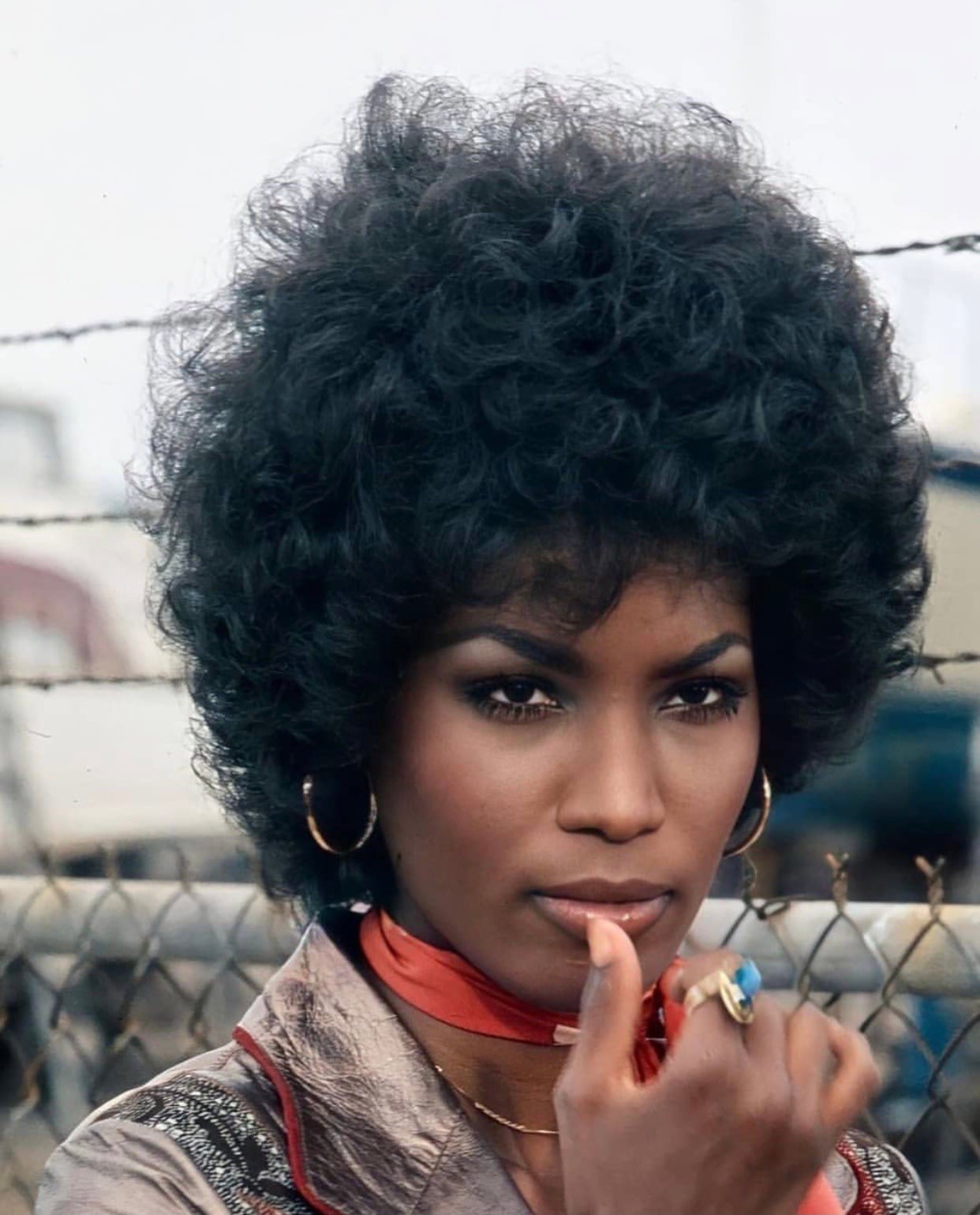 Teresa Graves nude 8