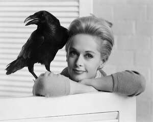 Tippi Hedren nude 6