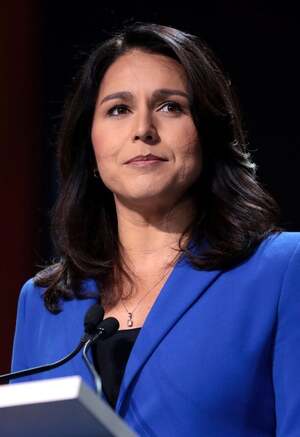 Tulsi Gabbard nude 11