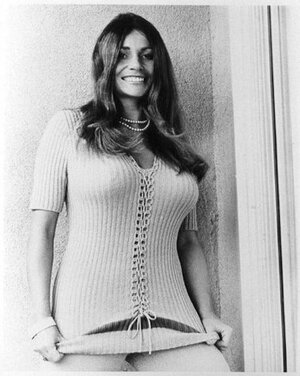Uschi Digard nude 2