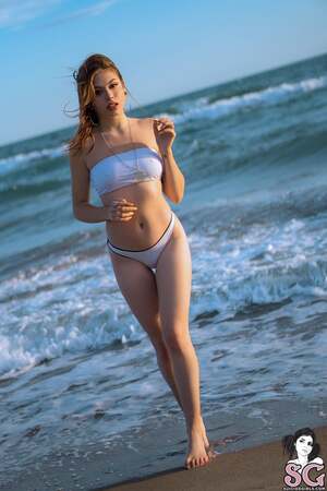 Zowie Suicide